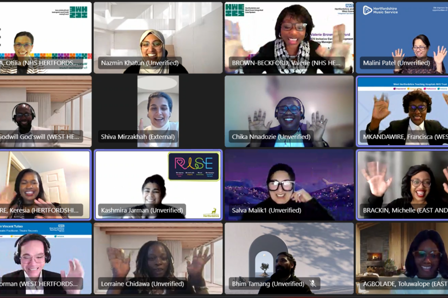 A screenshot of Inclusive Career Development Programme participants waving and smiling