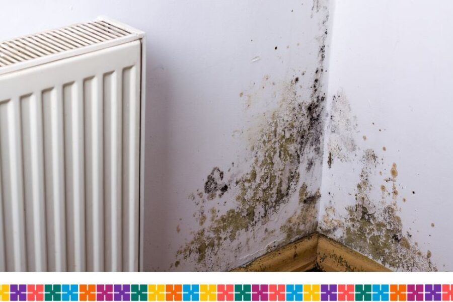 Corner of a room showing mold above the skirting board next to a radiator